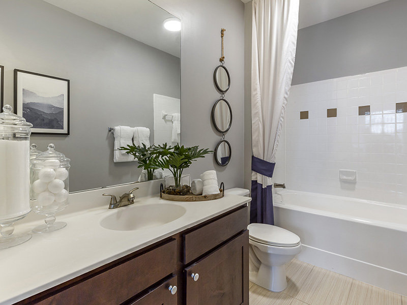 Bathroom | The Crest at Brier Creek Raleigh Apartments