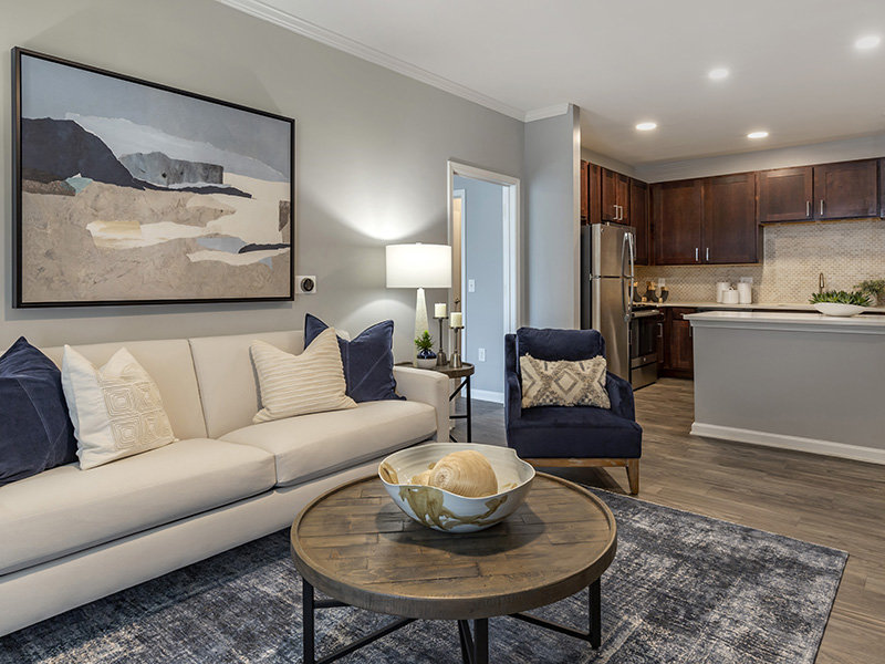 Front Room | The Crest at Brier Creek Raleigh Apartments