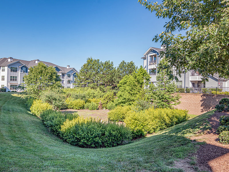 Beautiful Landscaping | The Crest at Brier Creek
