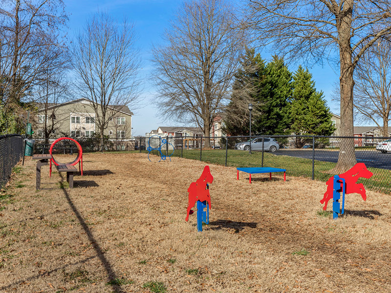 Dog Park | The Piedmont Apartments in Charlotte, NC