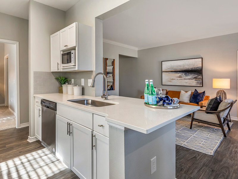 Kitchen and Living Room | The Piedmont Charlotte Apartments