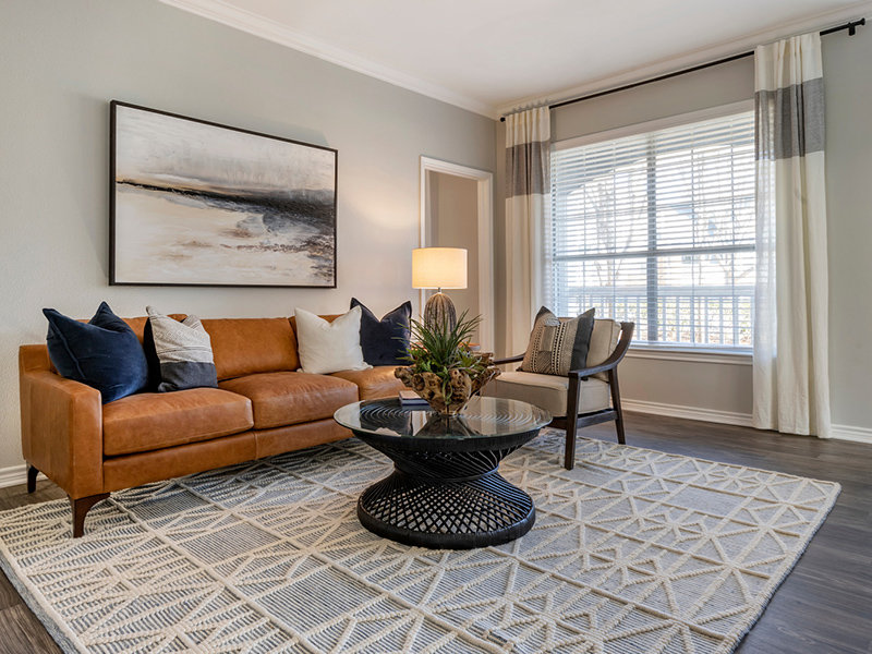 Living Room | Piedmont at Ivy Meadows Apartments in Charlotte, NC