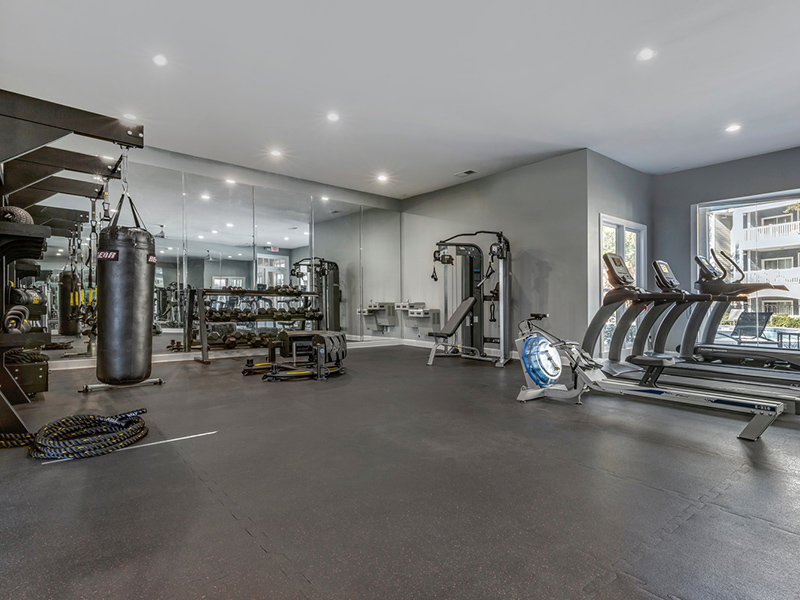 Fitness Center | The Piedmont Apartments in Charlotte, NC