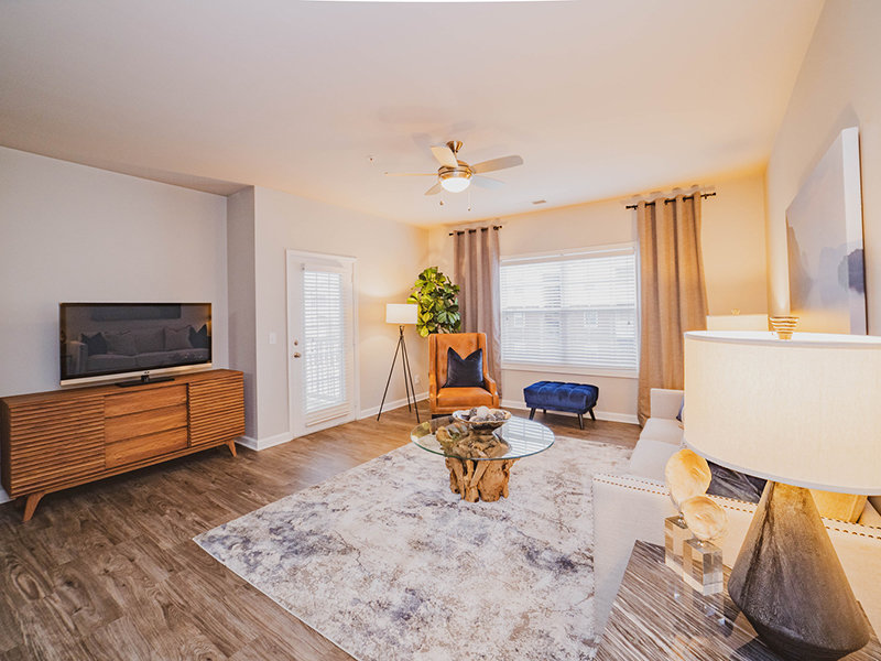 Living Room | Reserve at Stone Hollow Apartments in Charlotte