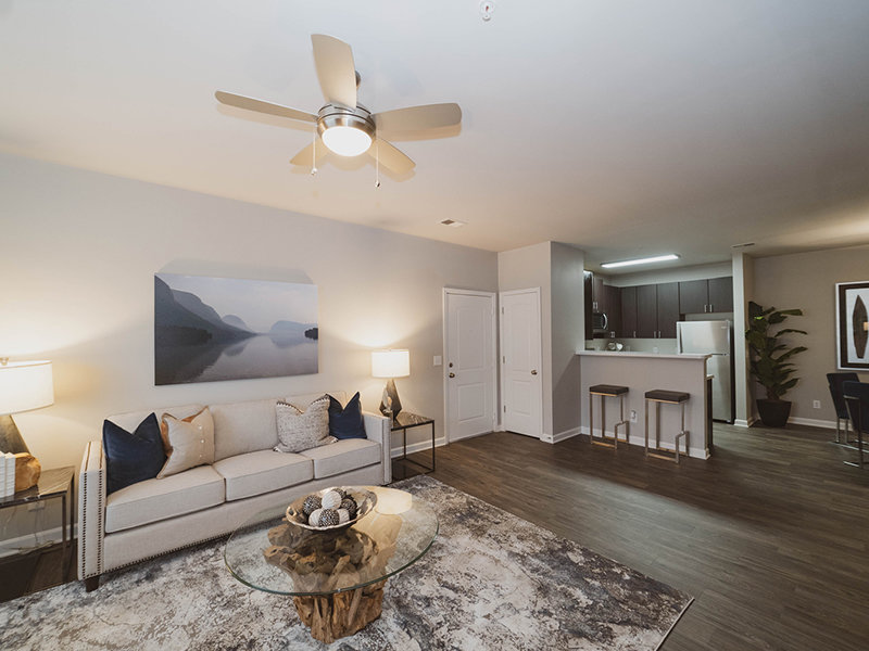 Living Area | Reserve at Stone Hollow Charlotte Apartments