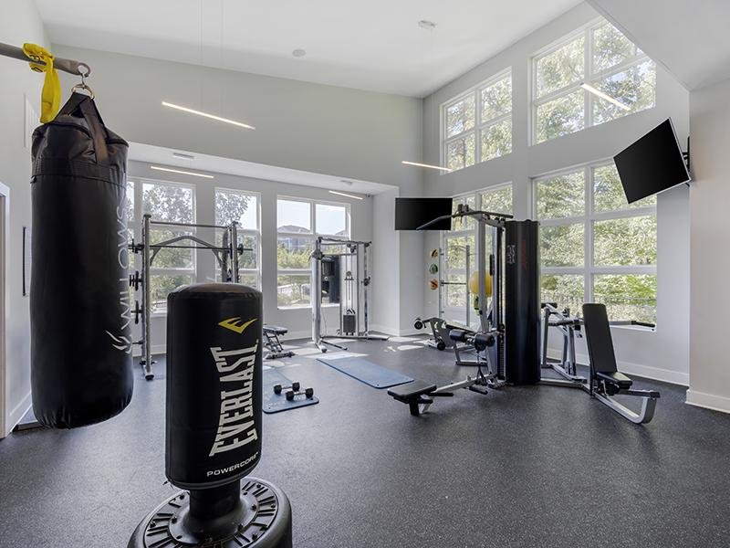 Workout Room | Willows at the University Apartments in Charlotte, NC