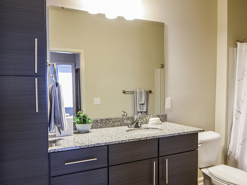 Bathroom | Willows at the University Apartments in Charlotte, NC