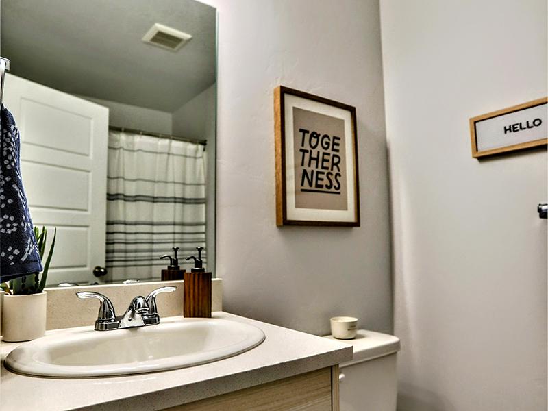 Bathroom Vanity | Amazon Falls Townhomes in Eagle, ID