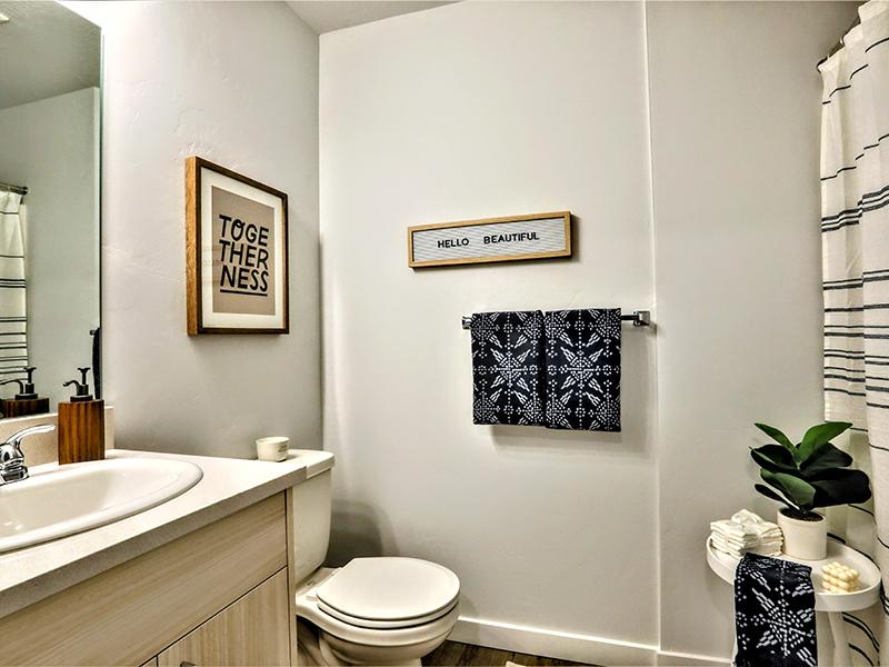 Bathroom | Amazon Falls Townhomes in Star, ID