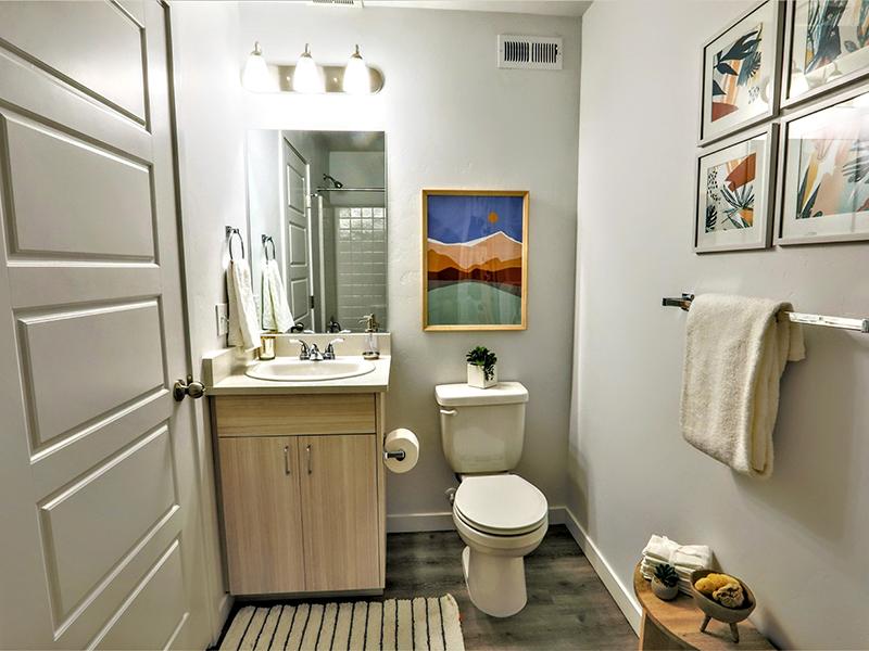 Townhome Bathroom | Amazon Falls Townhomes in Eagle, ID
