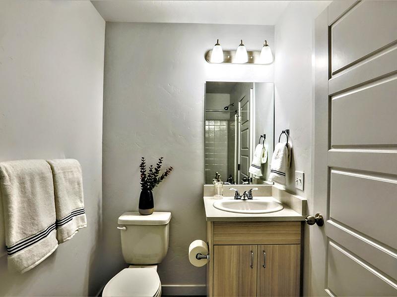Beautiful Bathroom | Amazon Falls Townhomes in Eagle, ID