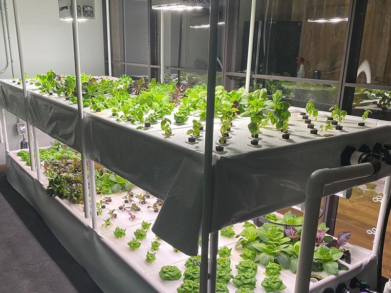 Hydroponic Garden | The Arbors of Sweetgrass 