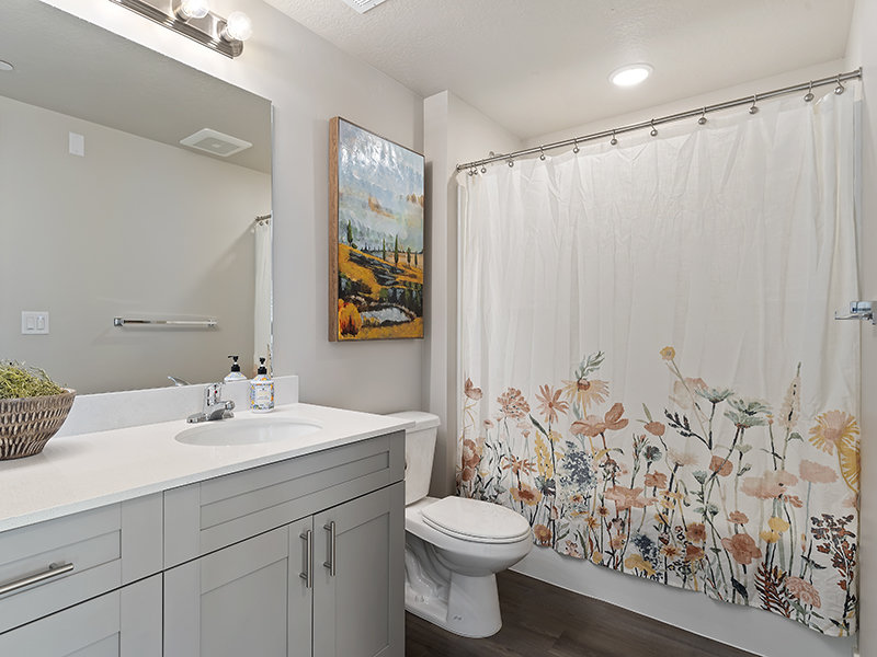 Bathroom | Basin View Landing