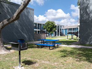 Picnic Bench | bluHaven Apartments in Harlingen, TX