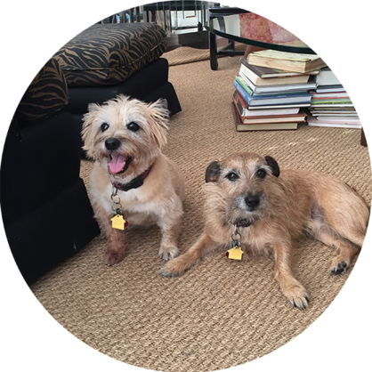 Pet Friendly Orlando Apartments