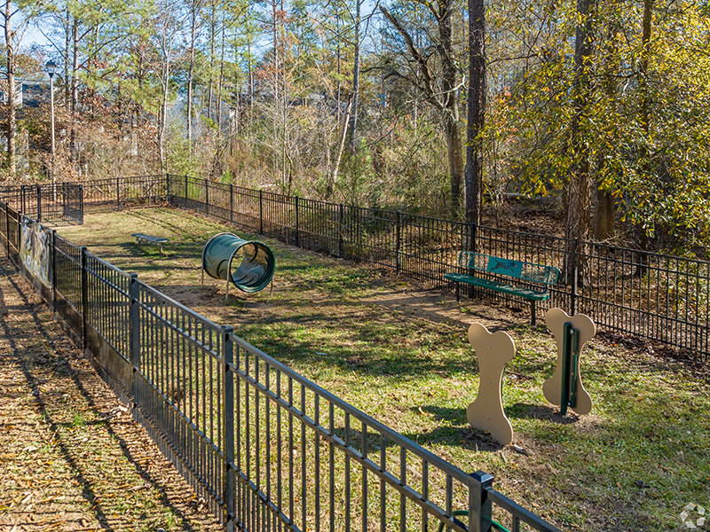 Large Dog Park | Bridlewood