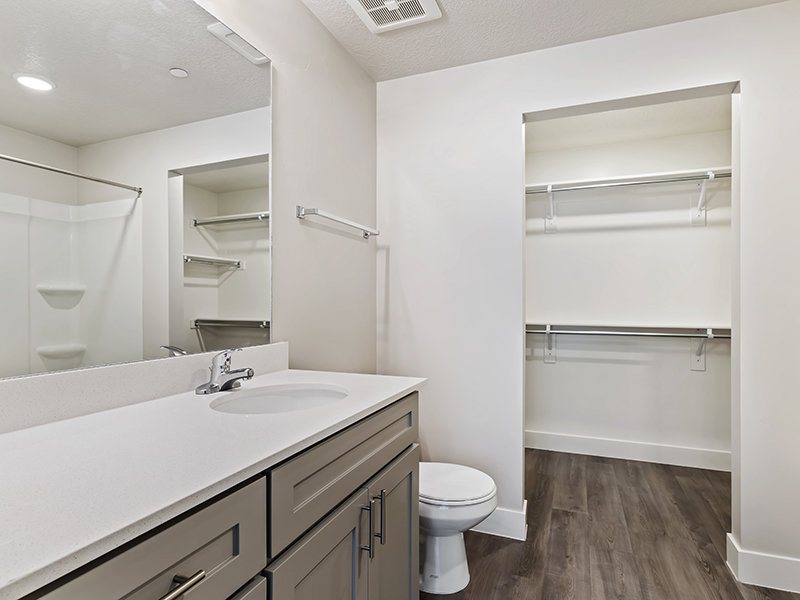 Bathroom and Closet | Canyon View Living on 12th