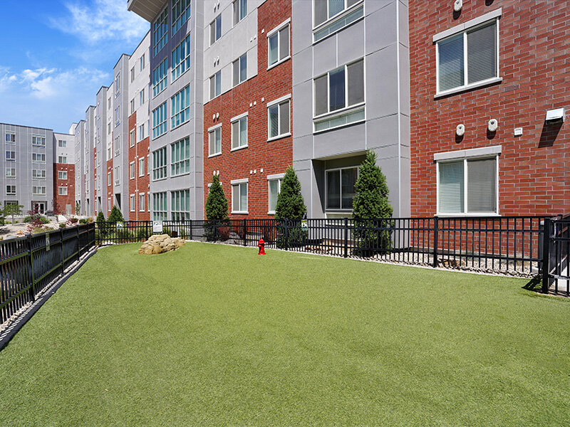 Dog Run | Canyon Vista