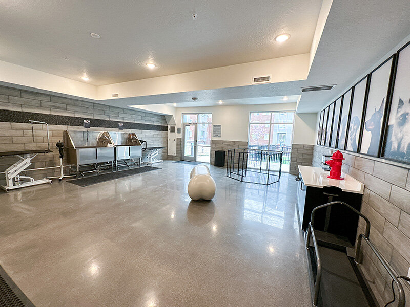 Pet Spa | Canyon Vista