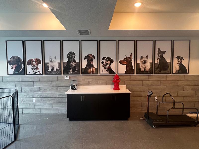 Dog Wash Station | Canyon Vista Apartments