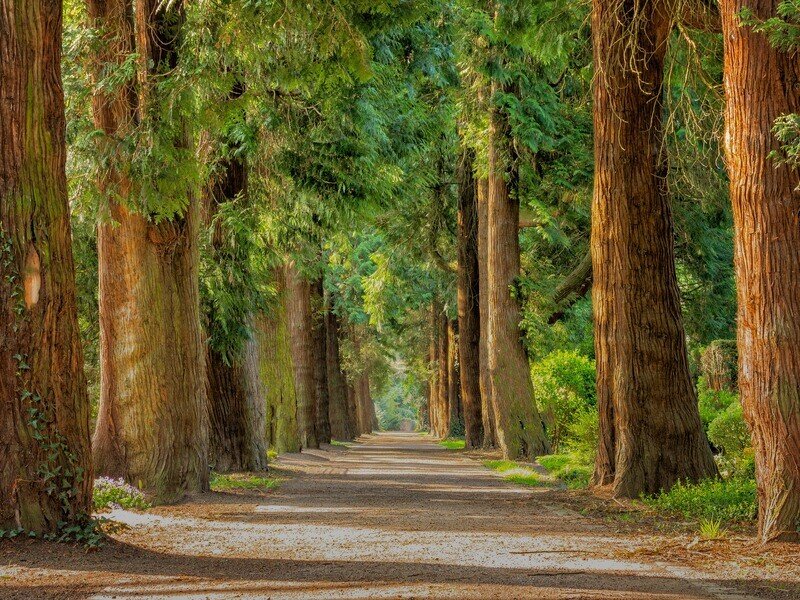 Stuff to Do in Provo, UT