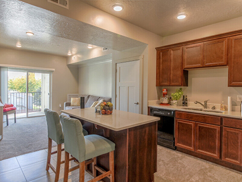 Kitchen and Living Room | Central Park Station Apartments
