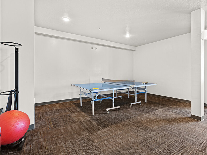 Ping Pong Table | Central Park Station