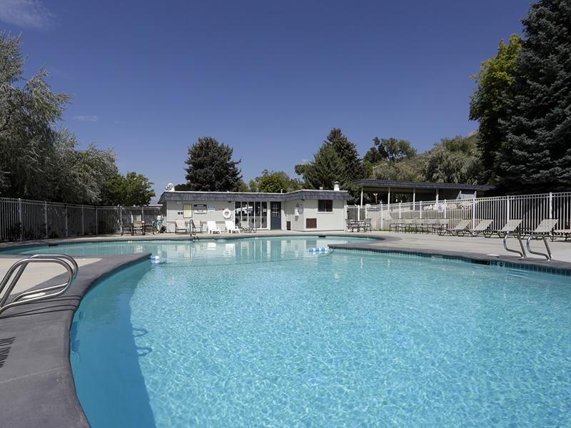 Shimmering Pool | Christopher Village