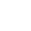 Disability Access