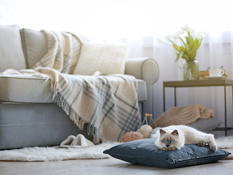 Lounge Area | Test Apartment