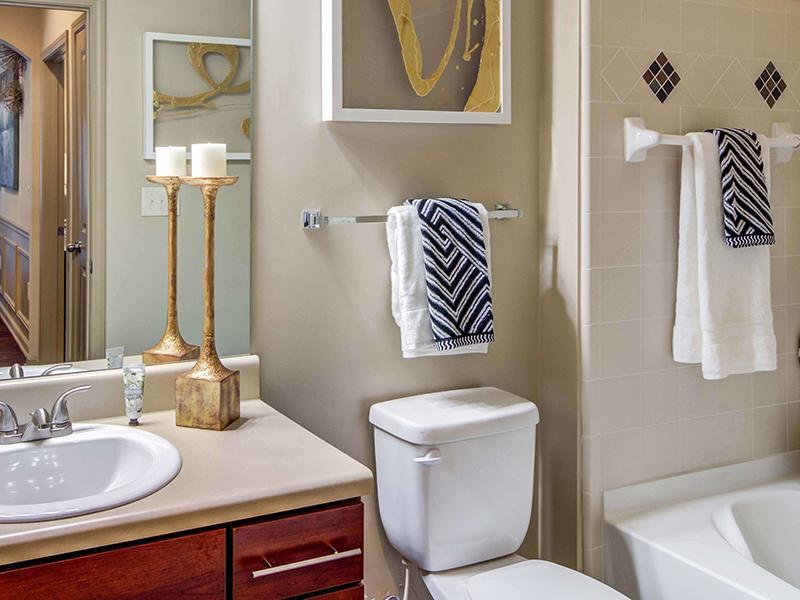 The bathroom features a tub shower, toilet and vanity sink at Eagle's Brooke Apartments in Locust Grove.