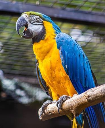 Cincinnati Zoo and Botanical Garden