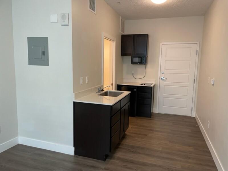 Entryway and Kitchen | Green Print at the Trax Apartments