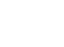 The Iris Logo - Special Banner
