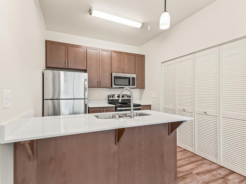 Luxury Kitchen with Stainless Steel Appliances | Jens Pointe