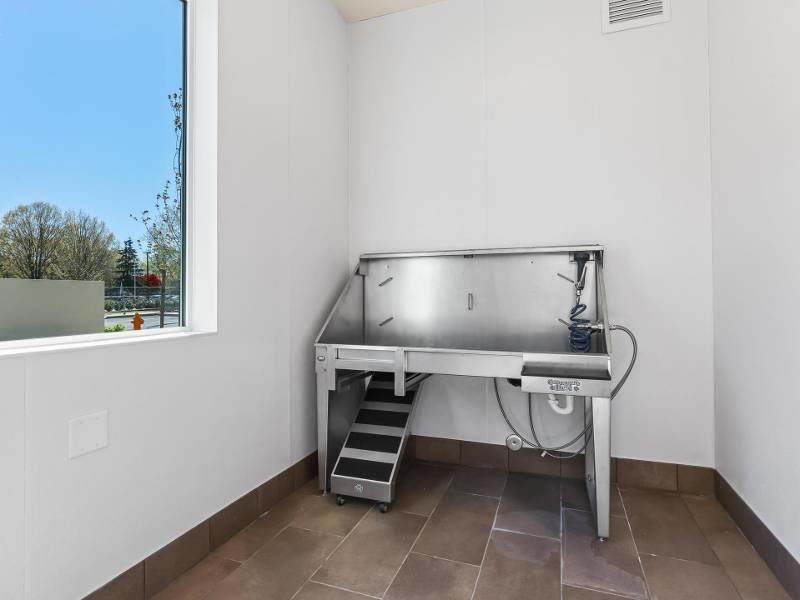Dog Wash Station | Jens Pointe Apartments