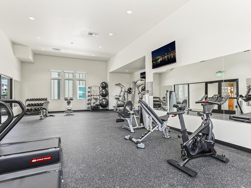 Luxury Fitness | Jens Pointe