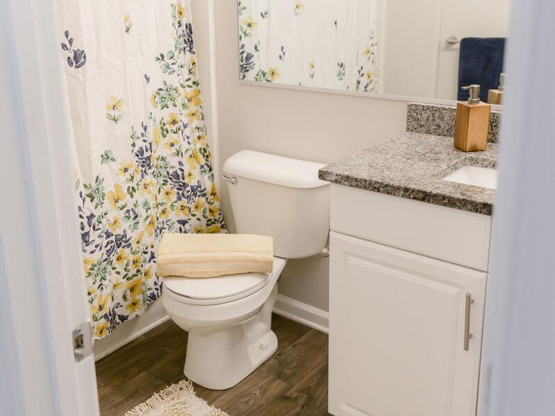 Bathroom | The Lakes at Town Center Apartments
