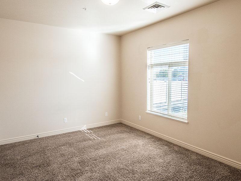 Carpeted Living Room | Liberty Square Apartments in Ammon, ID