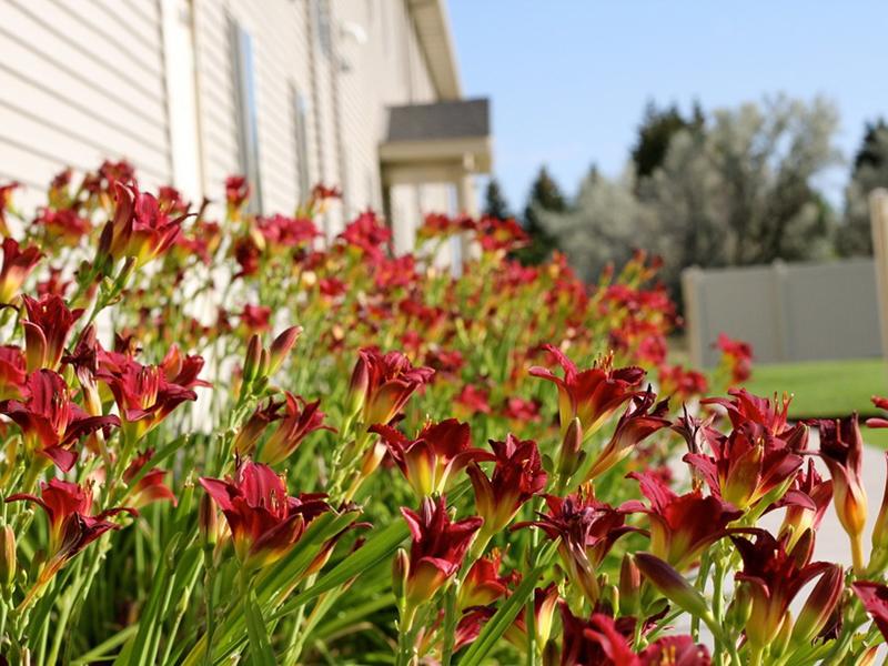 Beautiful Landscaping | Liberty Square Apartments in Ammon, ID