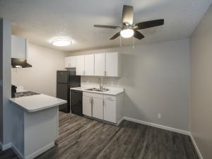 Lincoln Springs Apartments for Rent in Colorado Springs | Kitchen