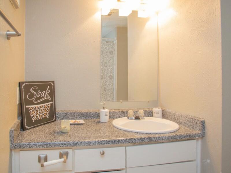 Bathroom Vanity | Buena Vista Apartments in Fort Worth, TX