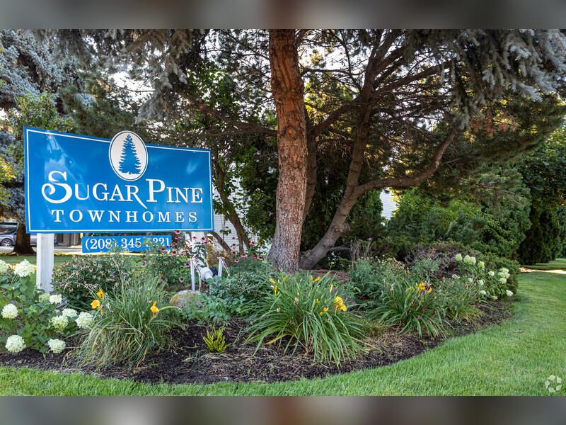 Monument Sign | Sugar Pine Townhomes