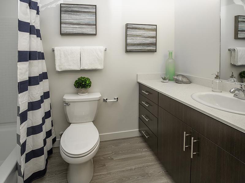 Bathroom | Paxton 365 Apartments