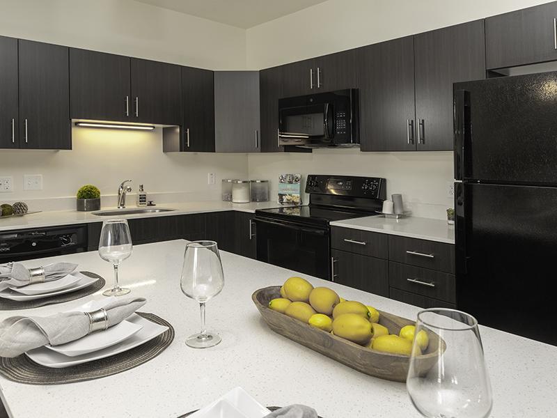Model Kitchen | Paxton 365 Apartments