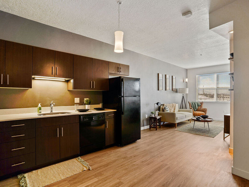 Kitchen and Living Area | Paxton 365 Apartments