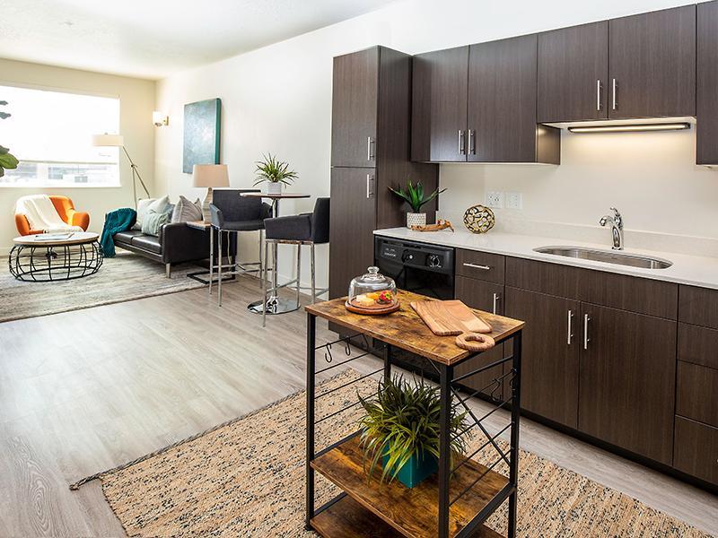 Kitchen & Living Room  | Paxton 365 Apartments