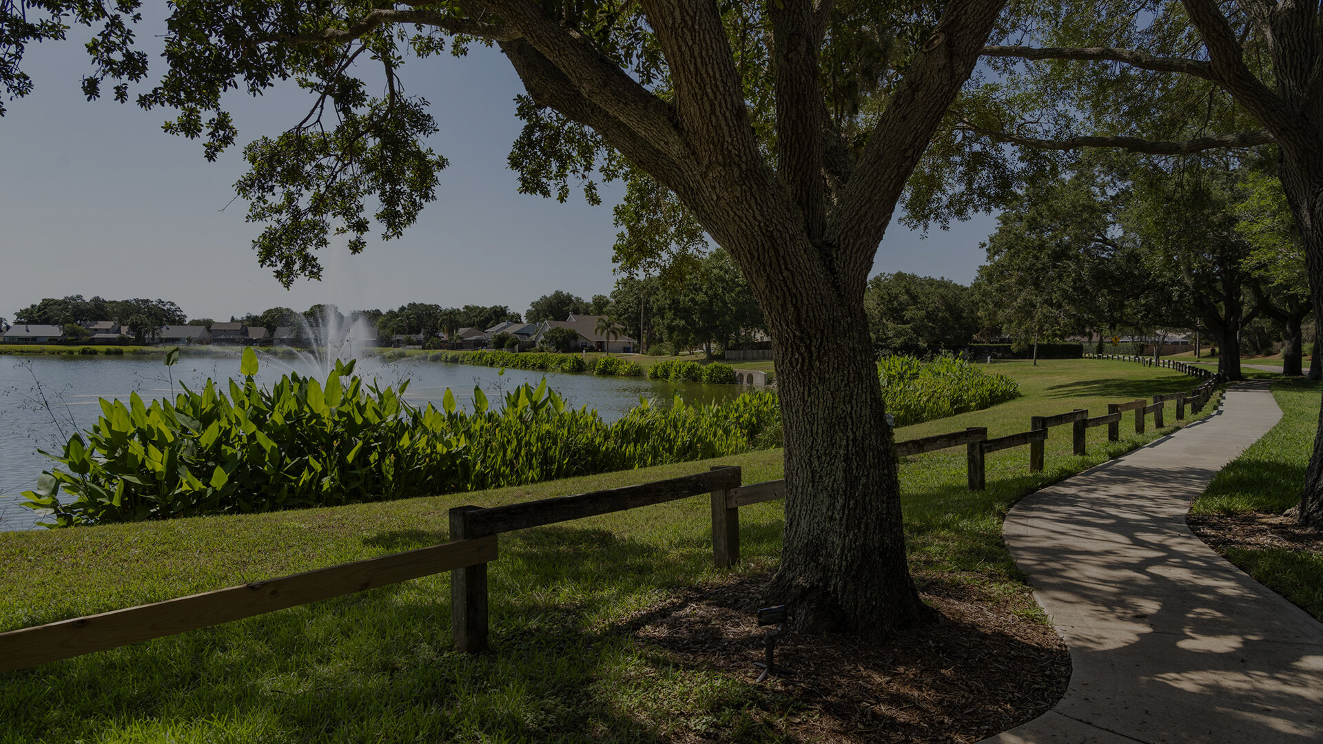 Apartments for Rent in Brandon, FL Providence Lakes Apartments