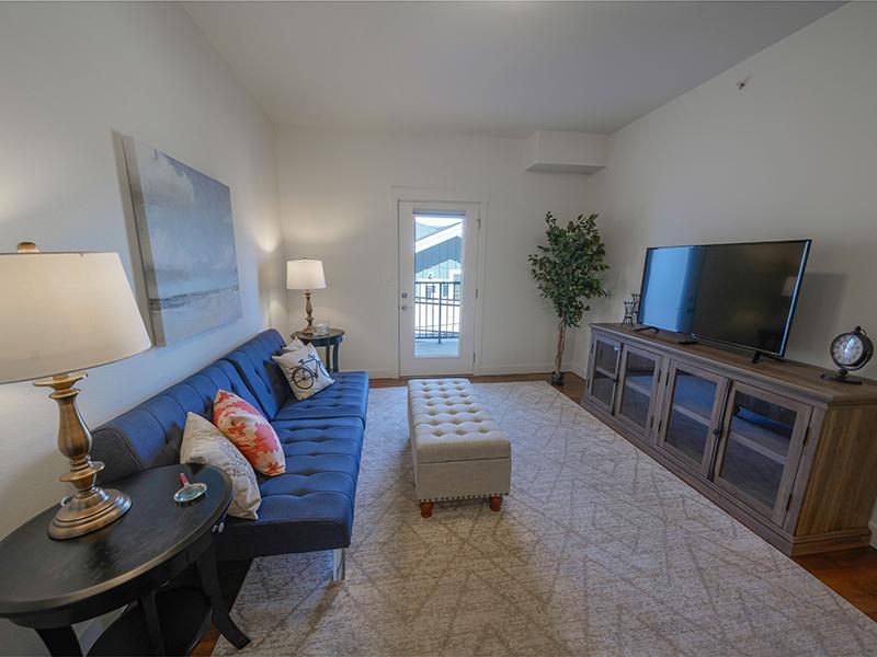 Living Room  | Remington Apartments in Helena, MT