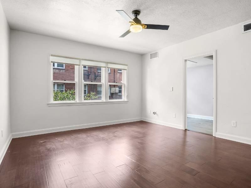 Abundant Natural Lighting | Eleanor Rigby